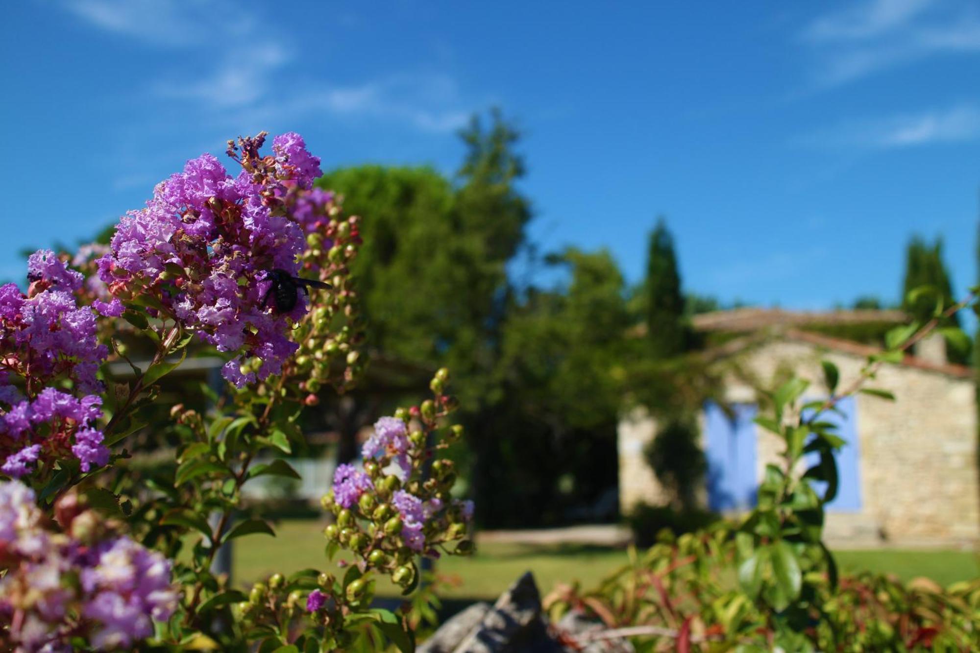 Mas Orea Gordes Exterior photo